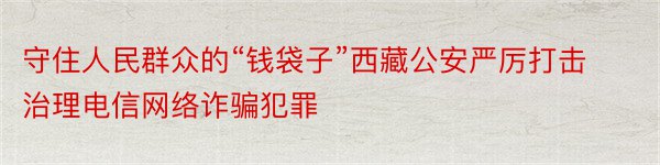 守住人民群众的“钱袋子”西藏公安严厉打击治理电信网络诈骗犯罪