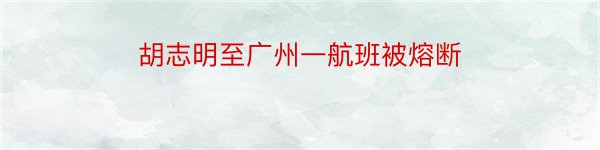 胡志明至广州一航班被熔断