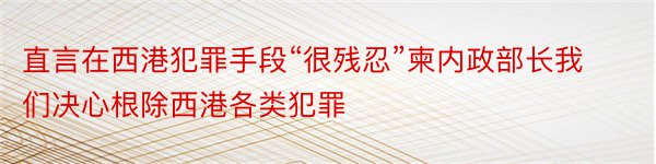 直言在西港犯罪手段“很残忍”柬内政部长我们决心根除西港各类犯罪