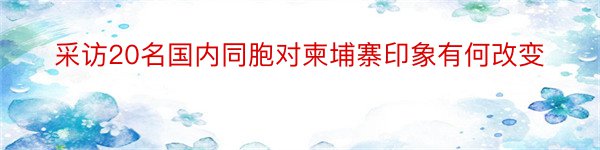 采访20名国内同胞对柬埔寨印象有何改变